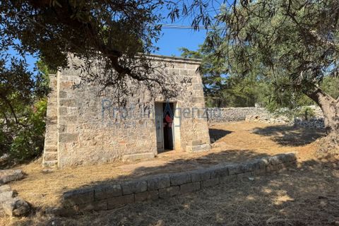 Farm hus i Ostuni, Brindisi, Ostuni - € 58.000 | Ref: 172934 - foto 12